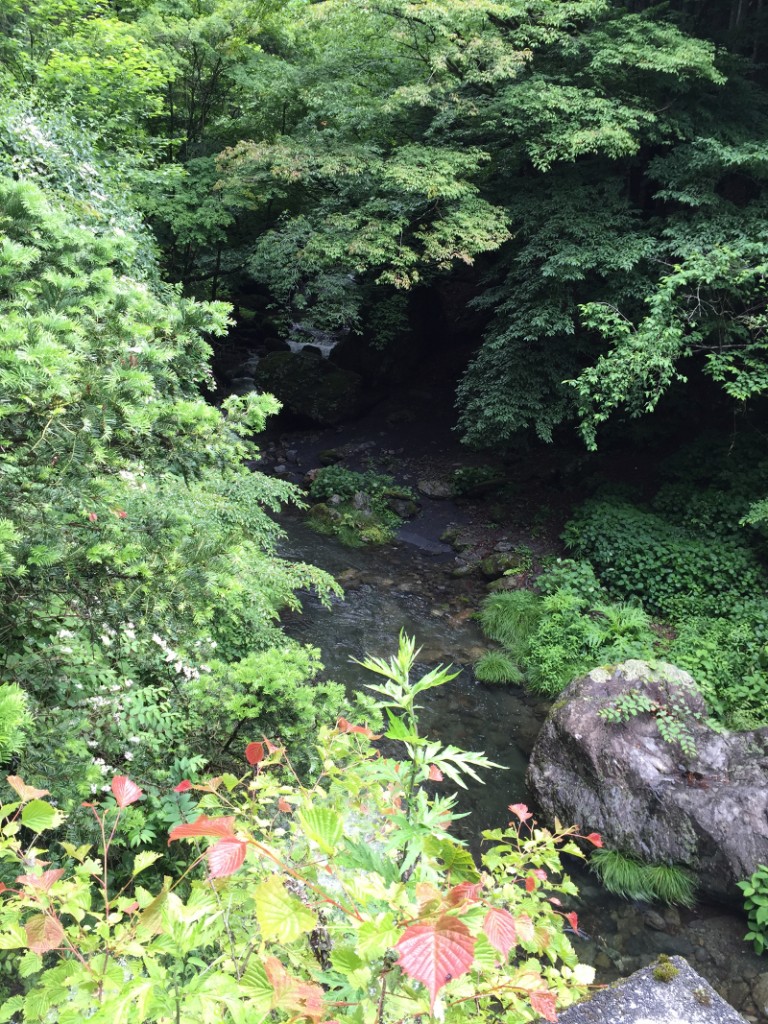 川苔山_入り口付近の川