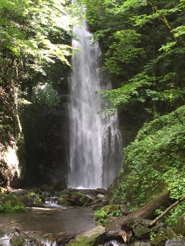 川苔山_滝