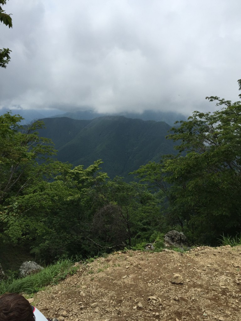 川苔山_山頂から