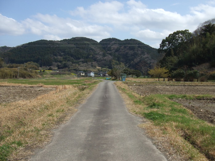 旧三芳村_歩道