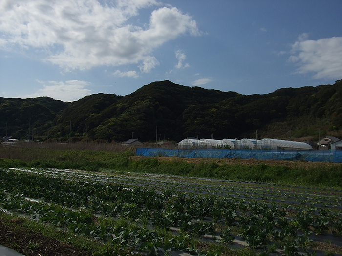 南房総太陽農園