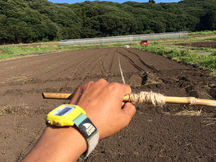 線引きに使うひも