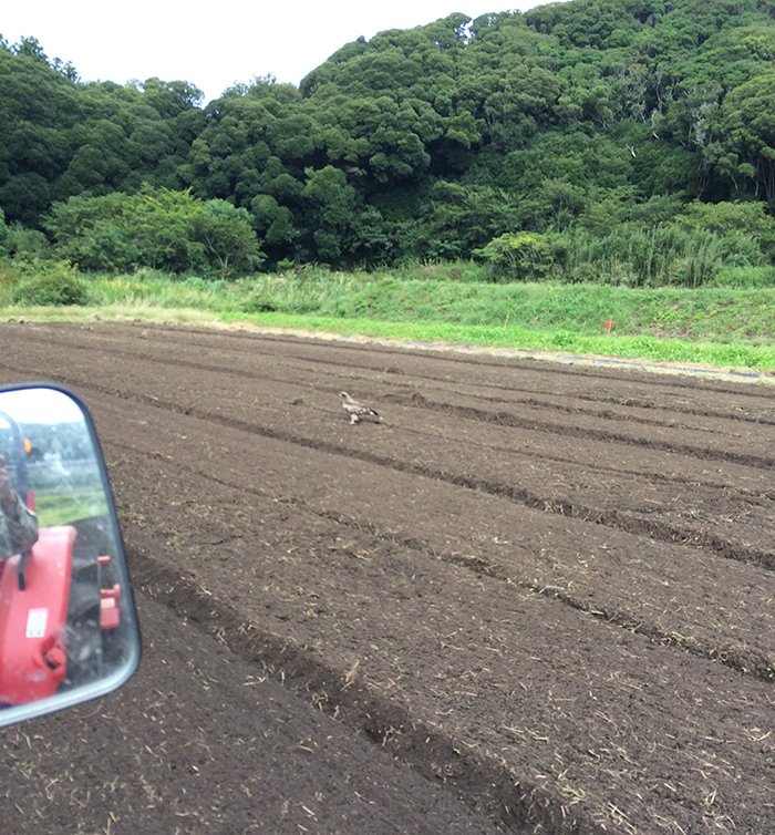 畑を耕しました 新農業人をめざして